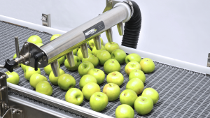 Watch Video: Fruit Drying